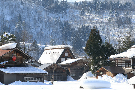 合掌造日本吉福白川戈住宅农场建筑学村庄茅草合掌建筑世界遗产历史白川背景