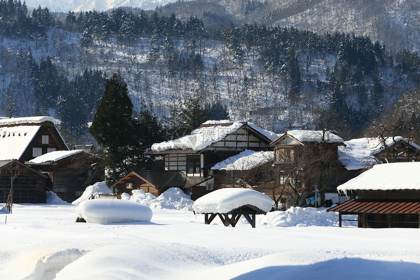 日本吉福白川戈建筑学白川松树运河茅草房子瀑布住宅村庄历史图片