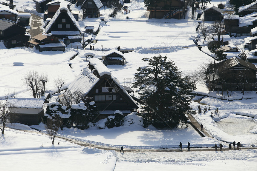 日本白川地村的景点合掌遗产房子小屋松树白川历史村庄建筑农场图片