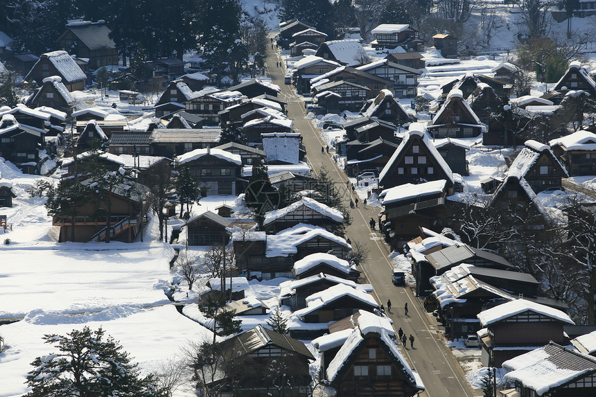 日本白川地村的景点白川合掌地标建筑松树住宅农场房子茅草小屋图片