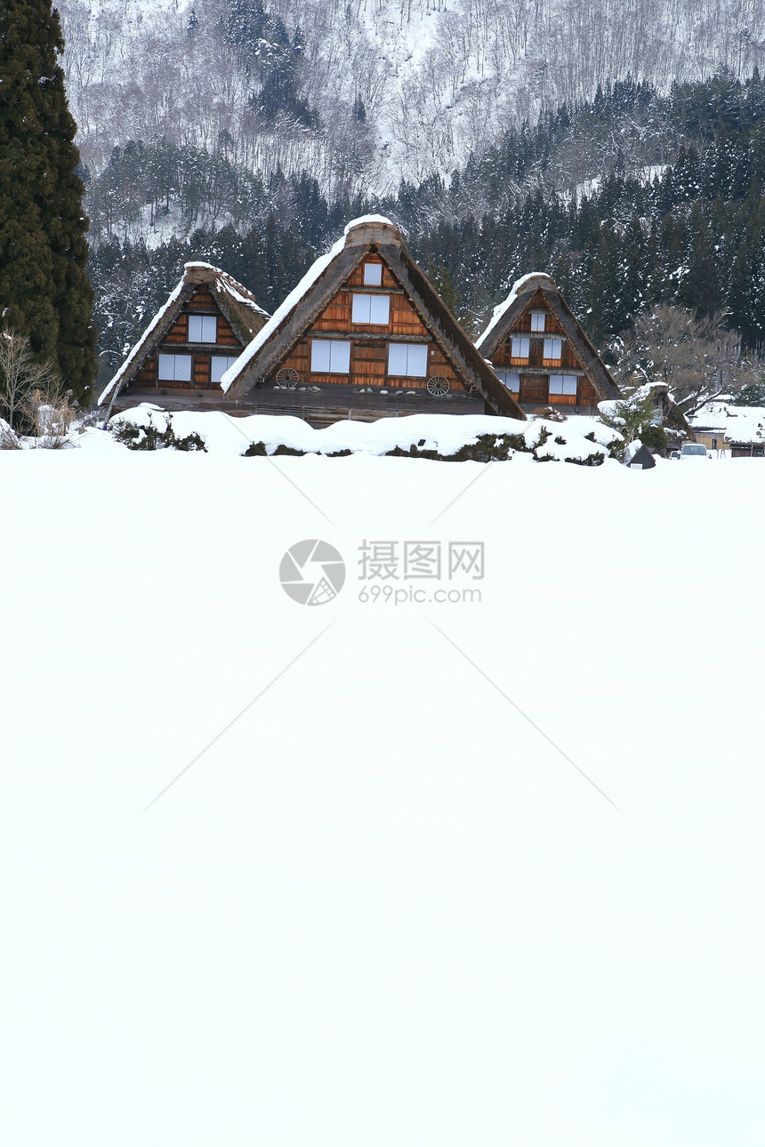 白川去村小屋建筑学茅草建筑住宅合掌历史松树村庄瀑布世界遗产图片