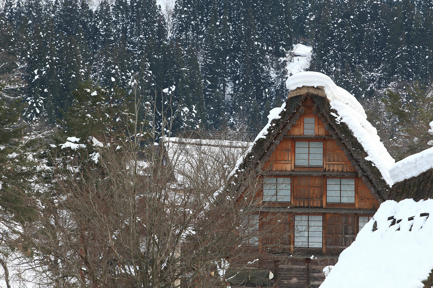 白川去村小屋农场茅草合掌历史村庄建筑松树遗产地标瀑布图片