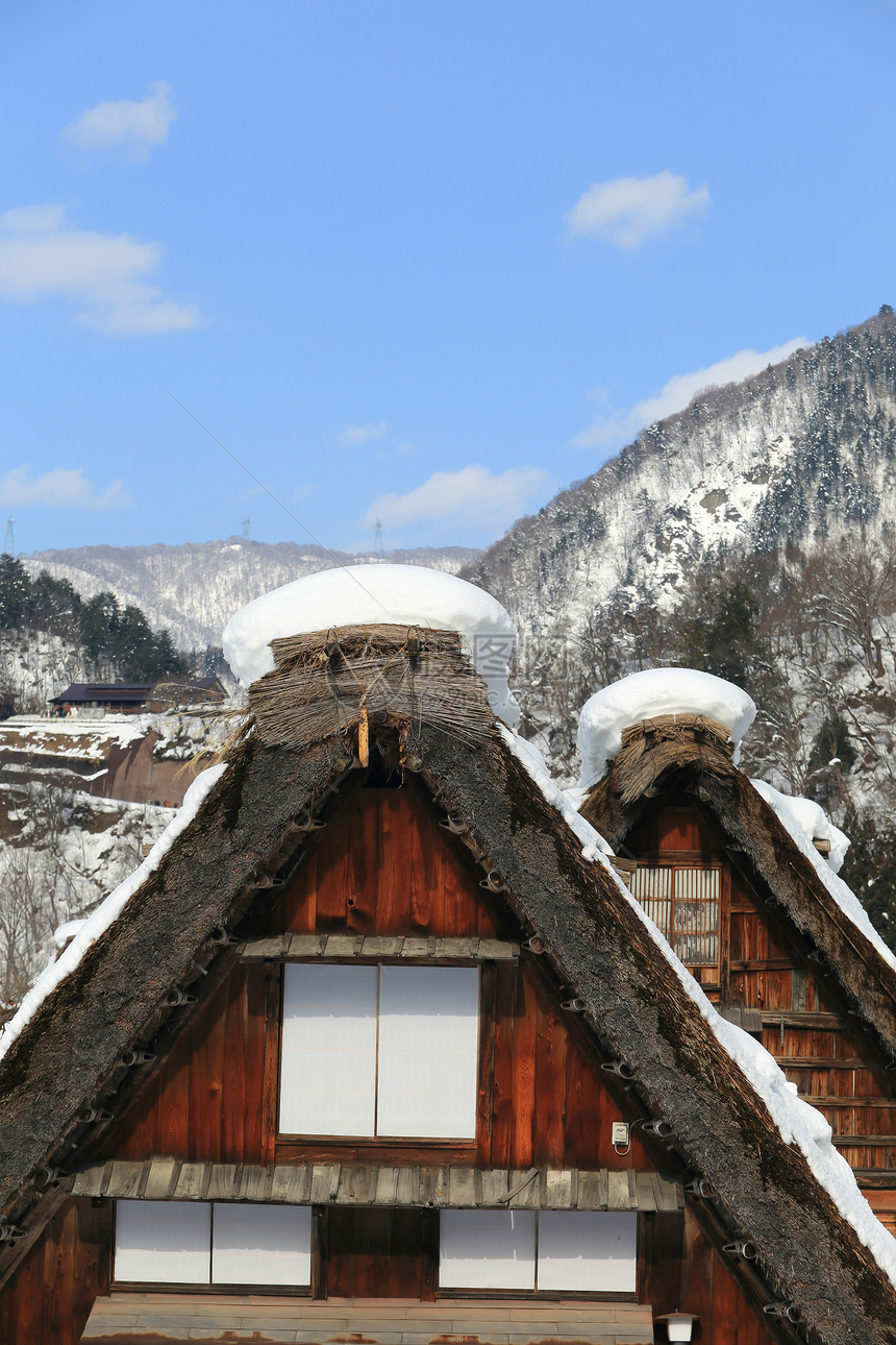 白川去村小屋合掌农场地标茅草住宅村庄白川遗产历史松树图片