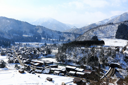 日本白川地村的景点遗产农场合掌建筑学小屋建筑历史茅草地标松树背景图片