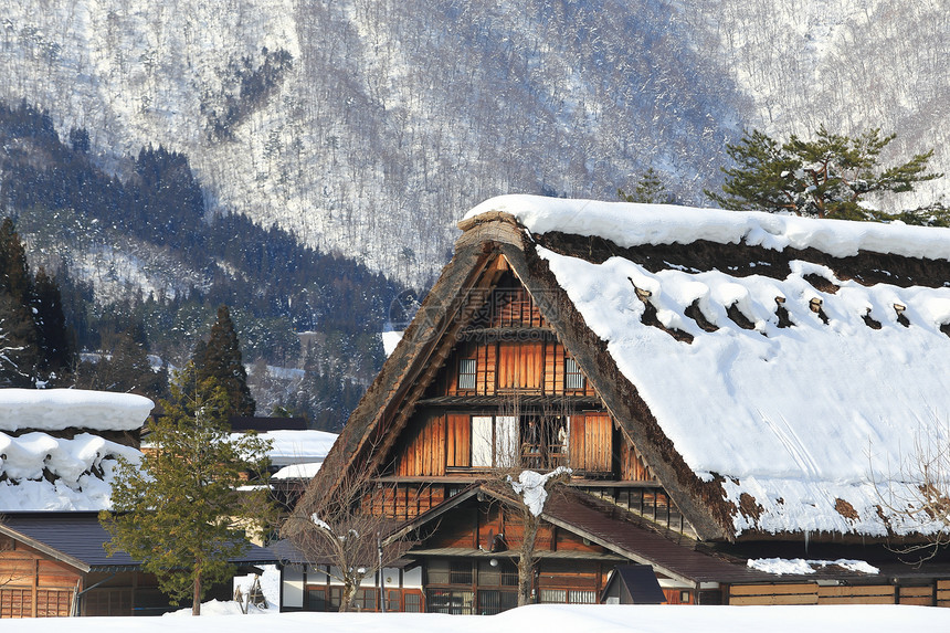 白川去村小屋农场遗产合掌茅草松树历史地标房子住宅白川图片