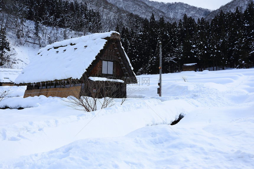 白川去村小屋房子白川茅草松树遗产瀑布建筑学住宅村庄世界遗产图片