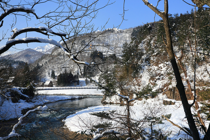 村Shirakawago的河松树水路遗产房子地标小屋住宅白川历史运河图片