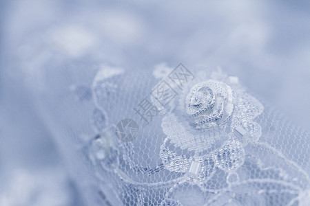 美丽的蕾带材料纺织品风格衣服花边装饰品玫瑰装饰宏观裙子背景图片
