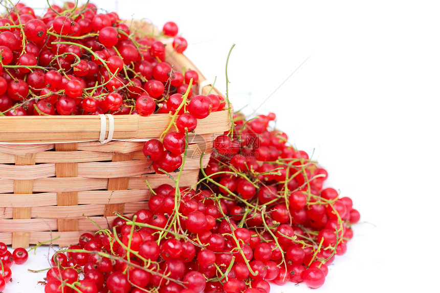 收获的红色草原篮子团体饮食水果醋栗季节叶子小吃宏观收成图片