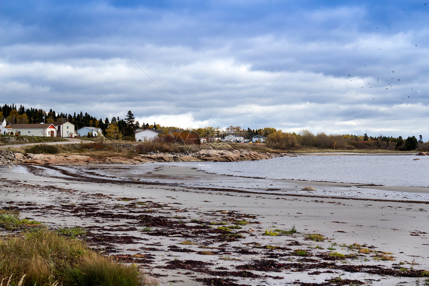 St Lawrence河沿岸 加拿大魁北克北部村庄海岸线水平风景园景海滩图片