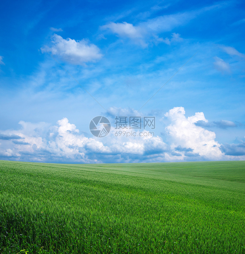 绿绿地场地土地晴天农村植物远景天堂牧场天气蓝色图片