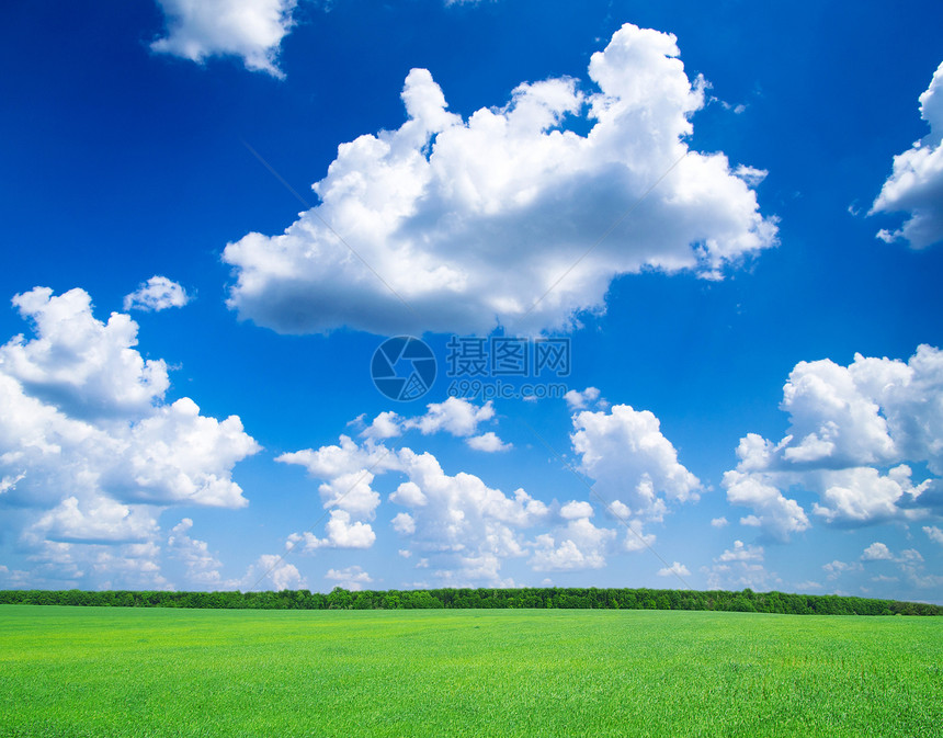 草地和蓝天空场地天空植物天气活力草本植物植物群城市太阳生长图片