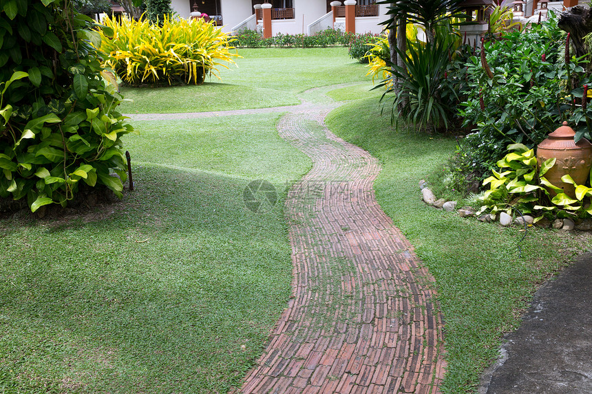 花园石路热带公园装饰植物风格途径衬套后院草皮植物学图片