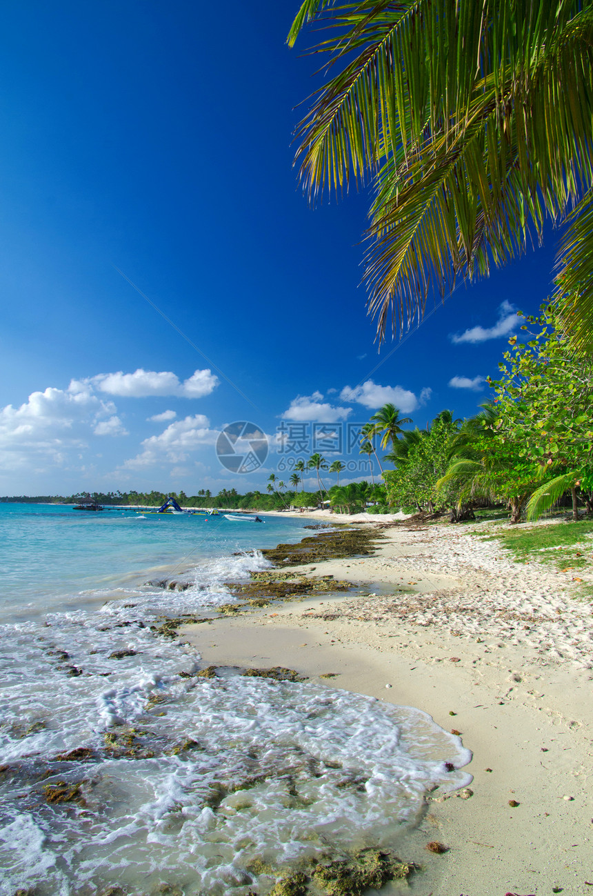 热带海洋蓝色天空墙纸天气假期海岸阳光海浪旅游风景图片