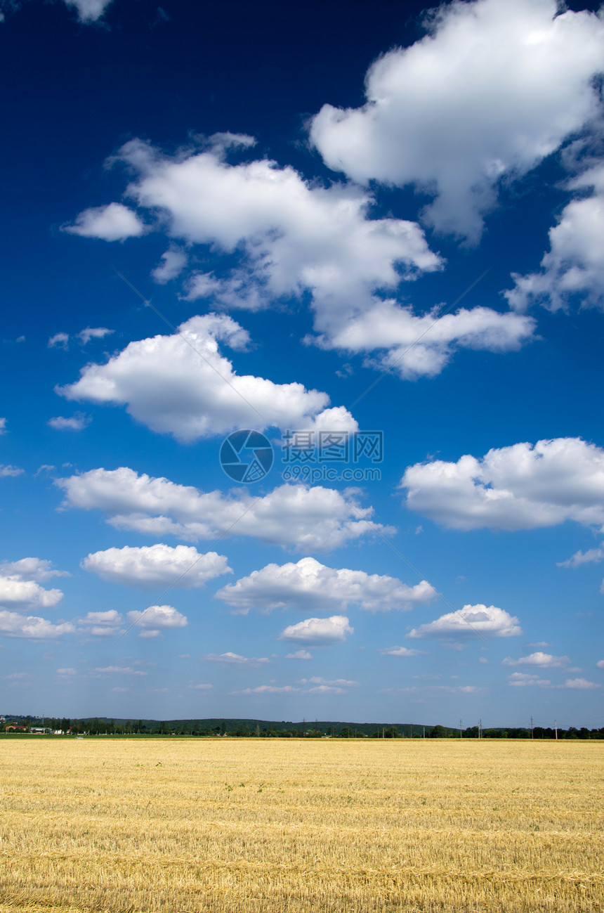字段蓝色晴天太阳草地土地天气农场阳光地平线牧场图片