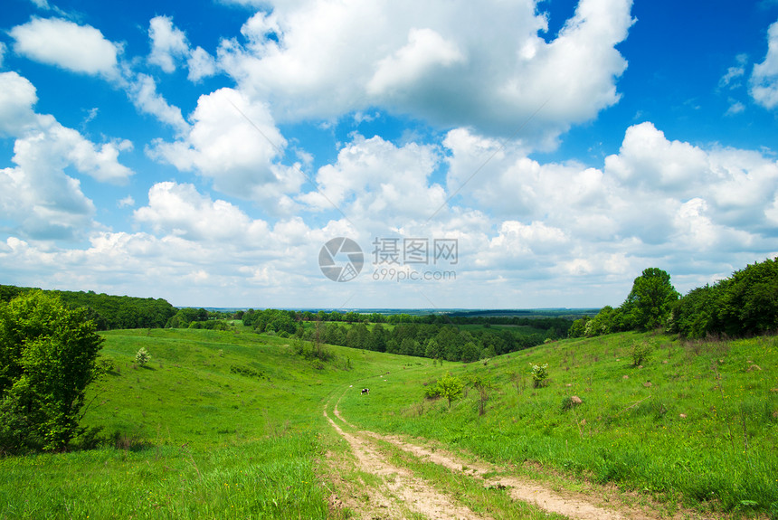 字段季节远景地平线植物绿色多云场地全景土地草地图片