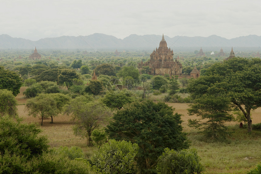 巴根寺庙佛教徒废墟植物建筑历史性旅行平原图片