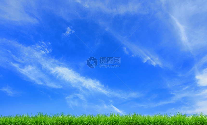 青草绿色天空环境蓝色草皮草地场地植物图片
