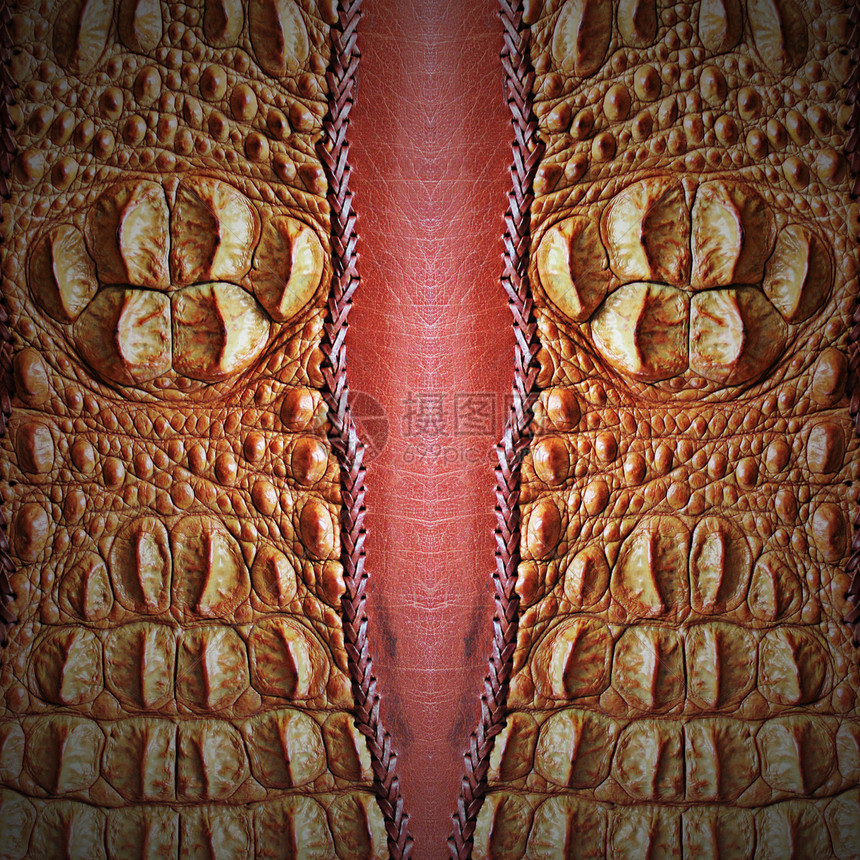 鳄皮框架模仿宏观鳄鱼艺术手提包纺织品奢华衣服捕食者图片