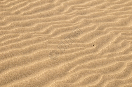 沙丘沙漠质黄沙沙漠黄色纹理质地波浪背景图片