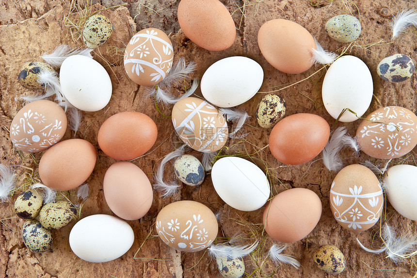 各种鸡蛋的背景背景食谱时间稻草烹饪白色棕色乡村装饰品羽毛装饰图片