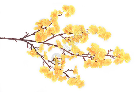 黄色花朵的人工枝棕色白色艺术背景图片