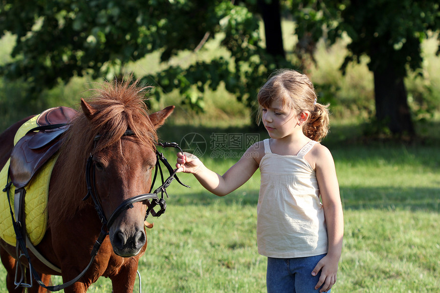 美丽的小女孩和田野上的马宠物图片