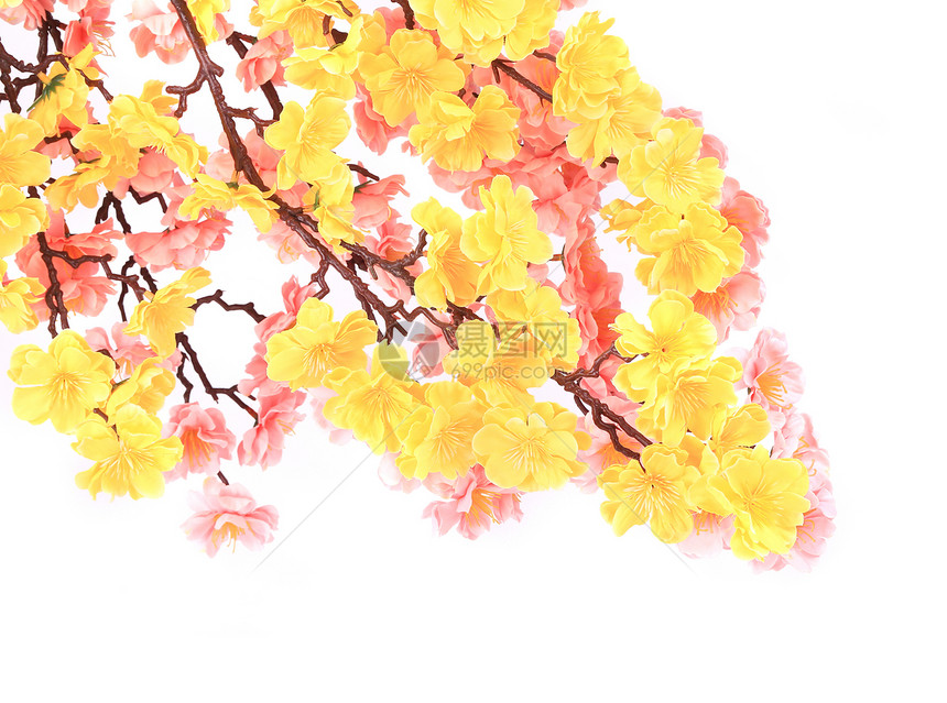 黄色和粉红色花朵的人工枝图片