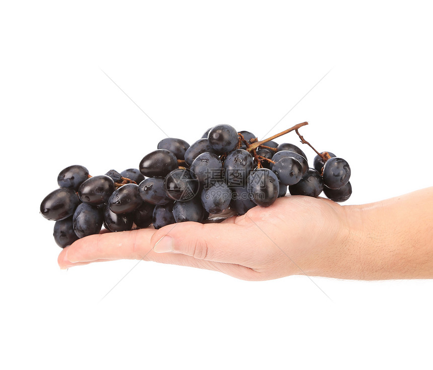 一只手拔出黑葡萄图片