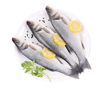 盘子上有三个生海盆白色海鲜宏观水产烹饪香菜鲈鱼柠檬食物圆盘背景图片