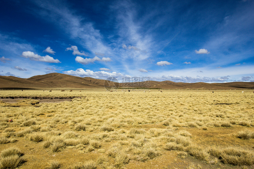 玻利维亚安第斯山脉高平原上的一个沙漠晴天国家干旱石头旅行旅游场景地质学岩石荒野图片