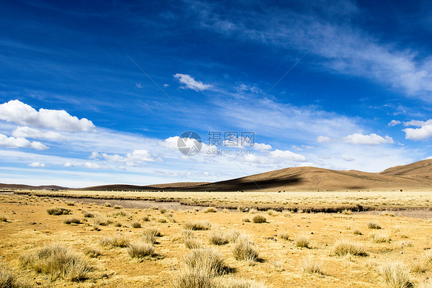 蓝色天空和白云之上的沙漠和山丘 玻利维亚阿尔提平洛植物土地地形地区高原旅游火山国家野生动物风景图片