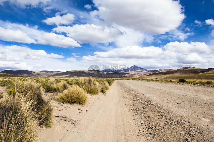 蓝色天空和白云之上的沙漠和山丘 玻利维亚阿尔提平洛植物高原旅行顶峰山脉公园气候旅游荒野地形图片