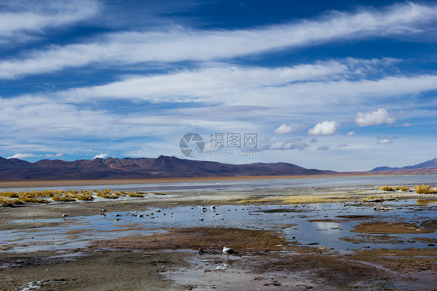 蓝色天空和白云之上的沙漠和山丘 玻利维亚阿尔提平洛高原国家土地旅行山脉植物高度公园风景顶峰图片