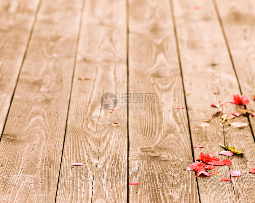 木板上坠落的花瓣图片