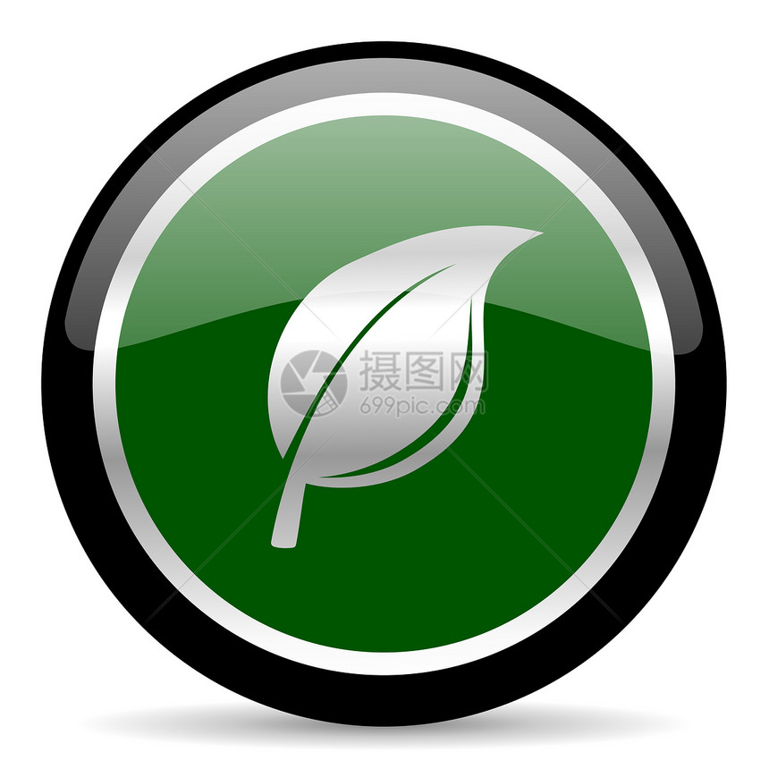 性质图标生长网络绿色树叶草本植物按钮生态插图叶子圆圈图片