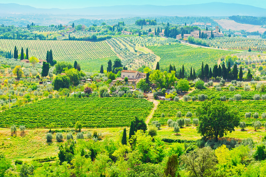Toscan 景观农业花园房子葡萄园农家蓝色国家生长树林天空图片