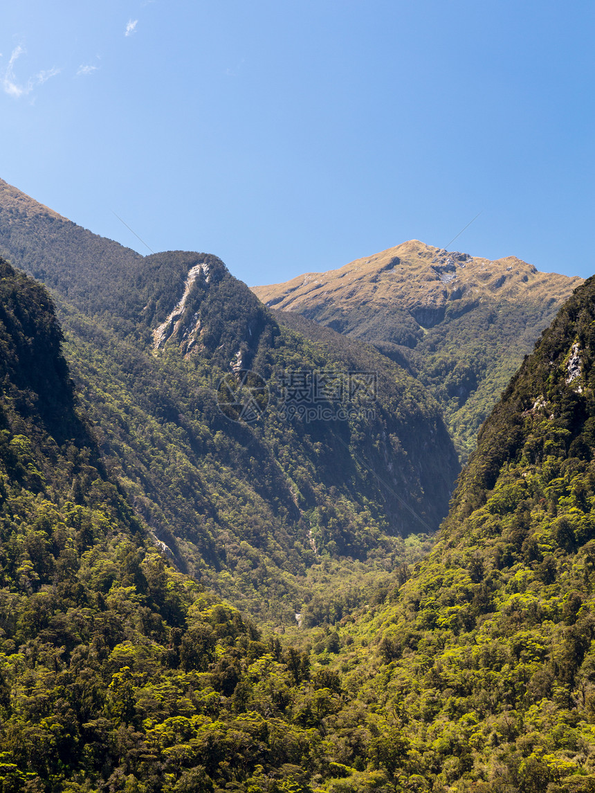 新西兰令人怀疑的声音之交组织悬崖天空风景荒野顶峰旅行晴天岩层岩石峡湾图片