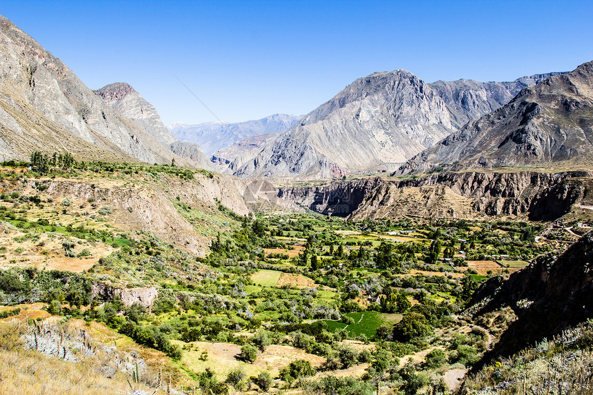 秘鲁 科塔瓦西峡谷 最深的峡谷植物农村高度秃鹰农业岩石丘陵风景瀑布场景图片