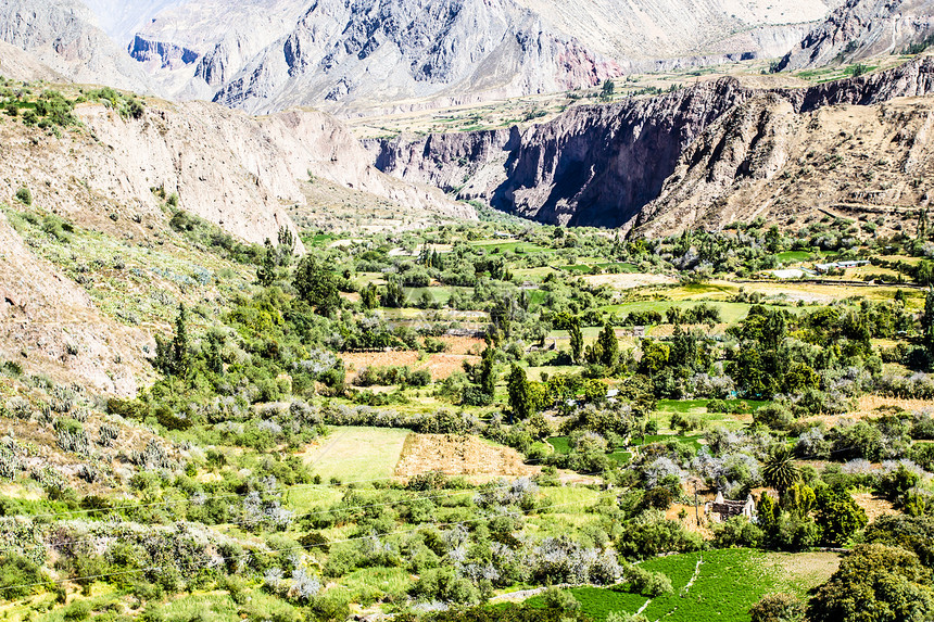 秘鲁 科塔瓦西峡谷 最深的峡谷阳台岩石农业丘陵植物风景秃鹰场景农村高度图片