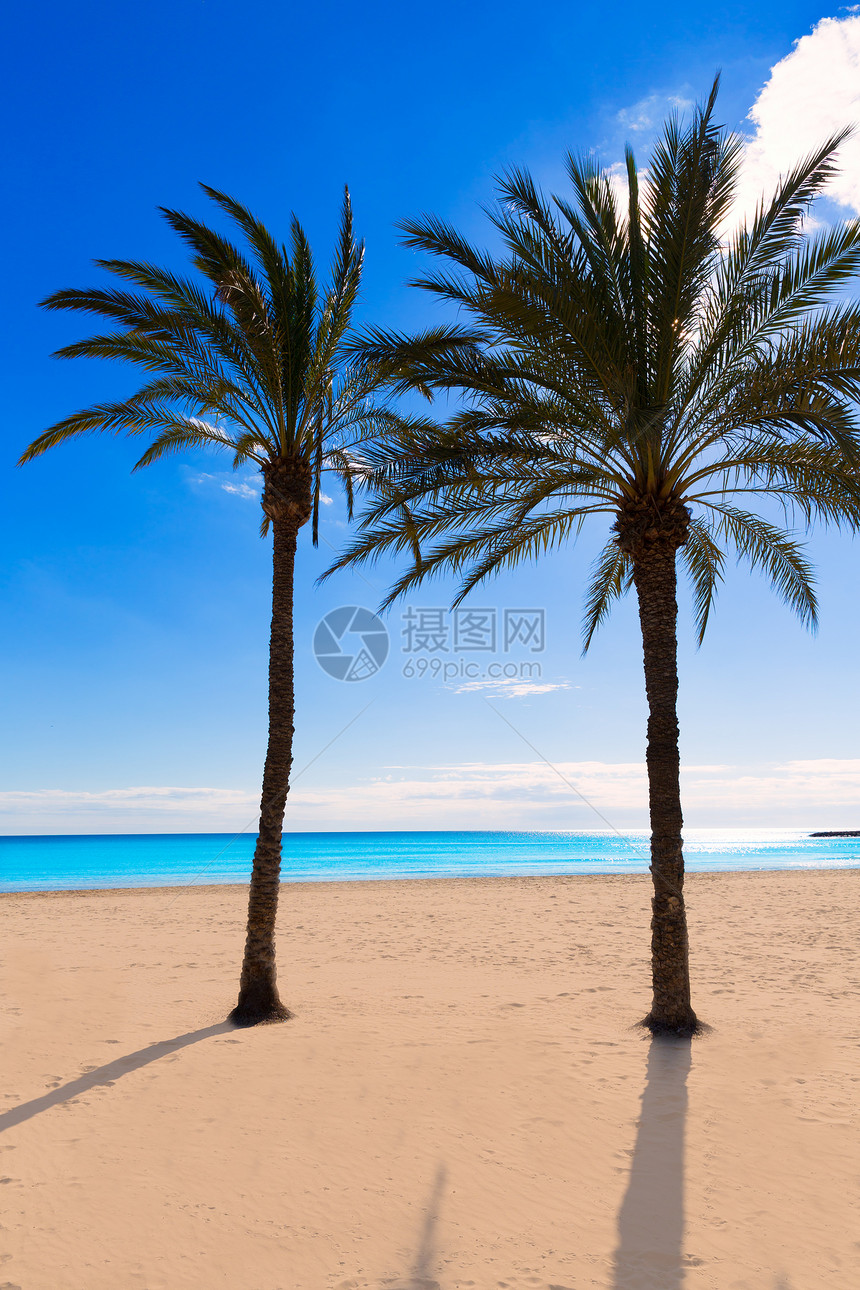 地中海西班牙的海滩蓝色假期海岸海洋海岸线旅游波浪村庄地标棕榈图片