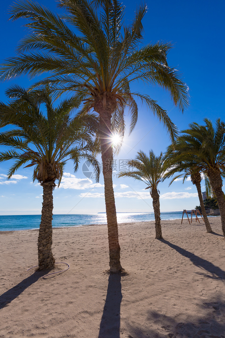 海滩和棕榈树蓝色假期海岸线天空白色棕榈城市社区支撑景点图片