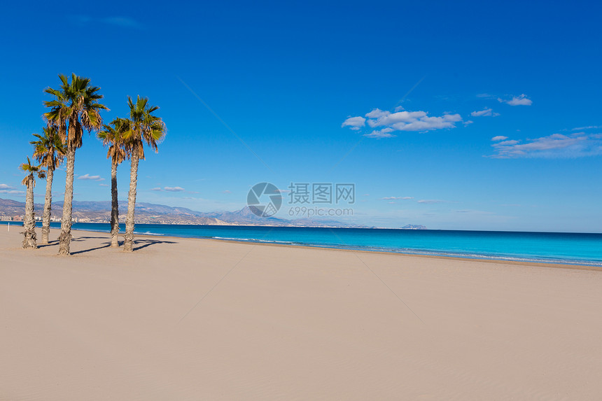 海滩 地中海棕榈树蓝色海洋旅游天空海岸旅行假期树木棕榈景点图片