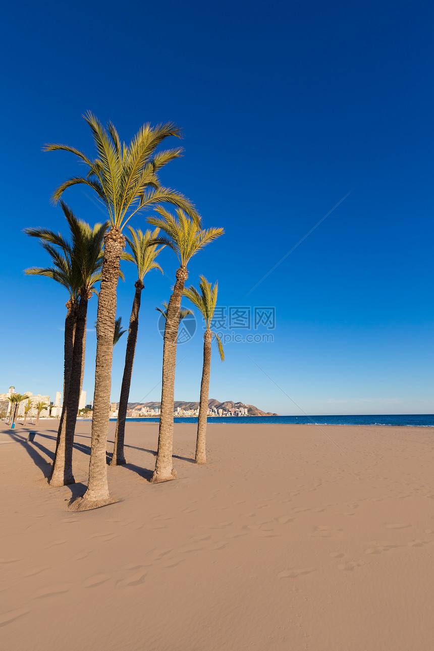 西班牙海滩海景天空棕榈公寓海岸海洋地标假期波浪景点图片
