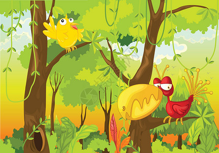鸟类荒野树叶场景情调异国热带藤蔓丛林动物插图高清图片