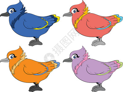 彩色鸟类孩子们动物翅膀收藏卡通片团体眼睛羽毛鹦鹉背景图片
