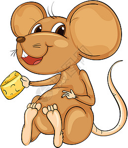 可爱的老鼠动物婴儿哺乳动物卡通片微笑情感食物漫画胡须害虫背景图片