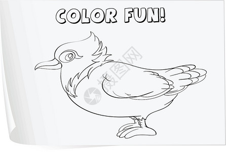 鸟脚着色工作表阴影卡通片工作簿活动折叠床单冰壶鸽子教育羽毛设计图片
