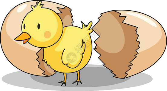 鸡宝宝点赞小鸡孵化休息后代生活婴儿蛋壳新生黄色卡通片动物设计图片