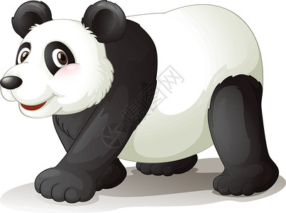 哺乳大熊猫熊猫哺乳动物动物荒野草图猫脚丛林白色黑色大熊猫森林插画